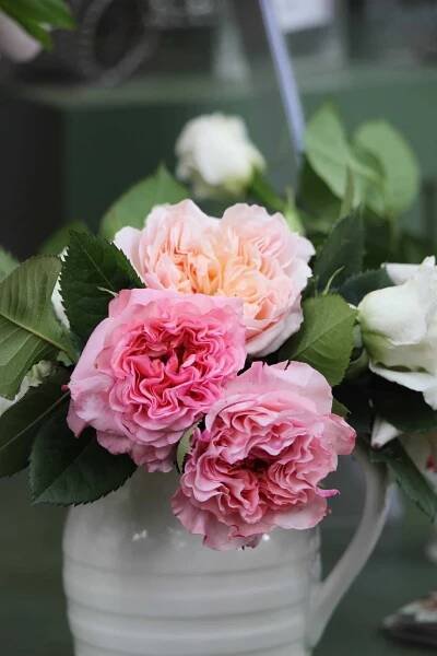 organic flowers, UK flower market , slow flowers, British flower week 2016,  The Real Flower Company 
