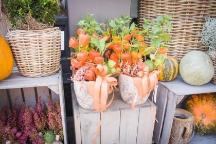 Kolekce | Podzimní kolekce 2019 | Květiny Petr Matuška Brno - dekorace, floristika, řezané květiny, svatební kytice