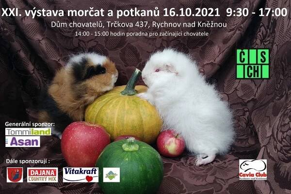 XXI. VÝSTAVA MORČAT A POTKANŮ