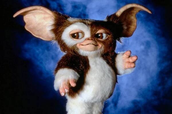 Gremlins: Chystá se trojka