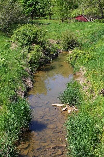 Johnson Creek (Lithia Springs Creek tributary)