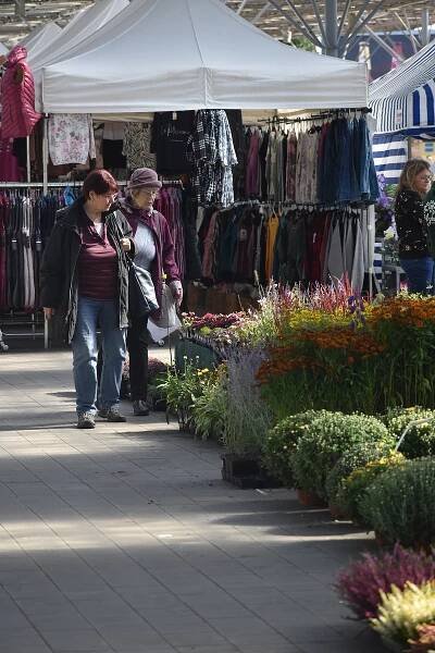 VIDEO: Bonsaje, rostliny, dechovka. Kroměřížské výstaviště hostí podzimní Florii