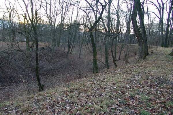 Bučovice