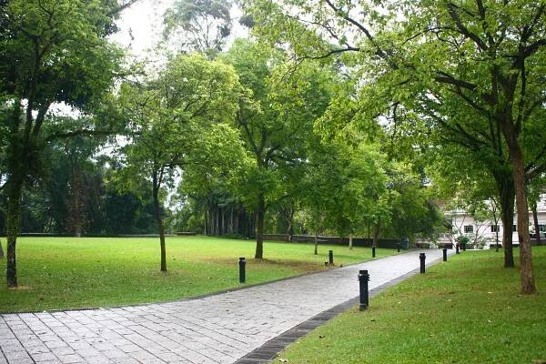 How Walking Improves Your Mental Health - Join the Naturelliving - Naturel