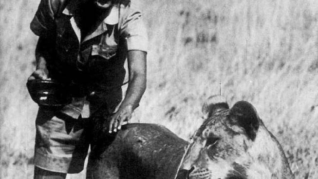 Joy Adamsonová, světoznámá spisovatelka a ochránkyně africké přírody, se narodila v roce 1910 v Opavě a byla zavražděna v roce 1980 v Keni. 