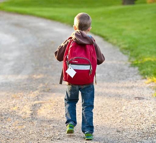 Essential Tips for a Smooth Back-to-School Transition - Samantha Moe and Associates