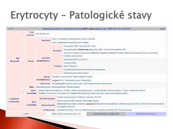 PPT - Biochemie krve PowerPoint Presentation, free download - ID:5061404