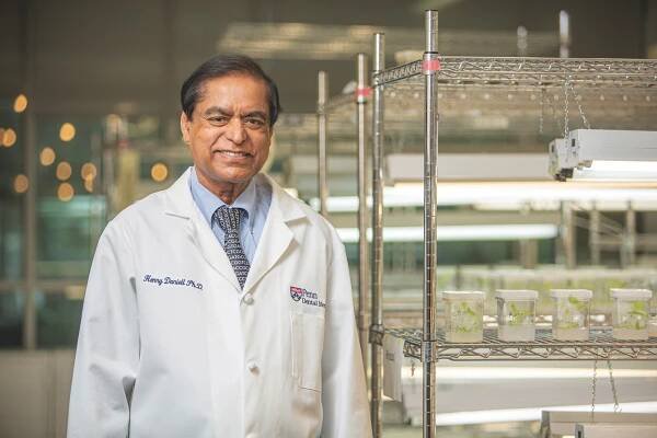 How Henry Daniell weds dental research with global health and sustainability