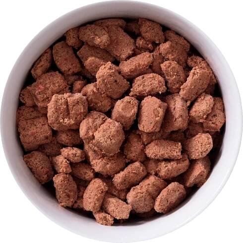 FROZEN bowl of beef raw food