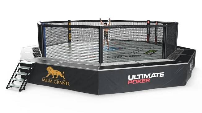 UFC Fighting Arena with MMA Champion Fur 3D model https://p.turbosquid.com/ts-thumb/OJ/7X8Vbe/ON/ufc_fighting_arena_with_mma_champion_fur_007/jpg/1735886633/1920x1080/fit_q87/b7bf6ff695ad29f6227703d264cd20d6cf97aab2/ufc_fighting_arena_with_mma_champion_fur_007.jpg