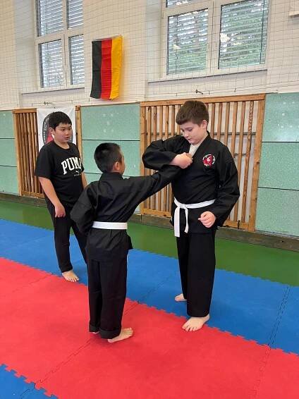 Mezinárodní seminář AKJ 22.3.2025 – Allkampf-Jitsu České Budějovice
