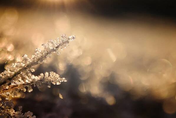 Snow Crystals Winter Desktop Wallpaper