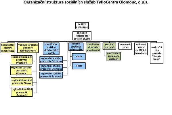 Organizační struktura sociální firmy Ergones - Tyflocentrum Olomouc, o.p.s.