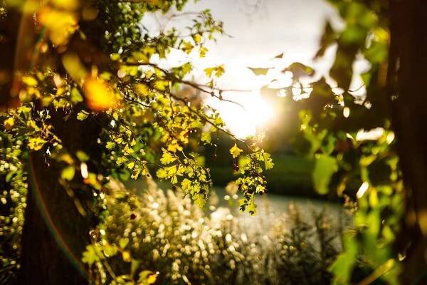 Head East to reconnect with nature and unlock your imagination. #HeadEastUK #Arts #Culture