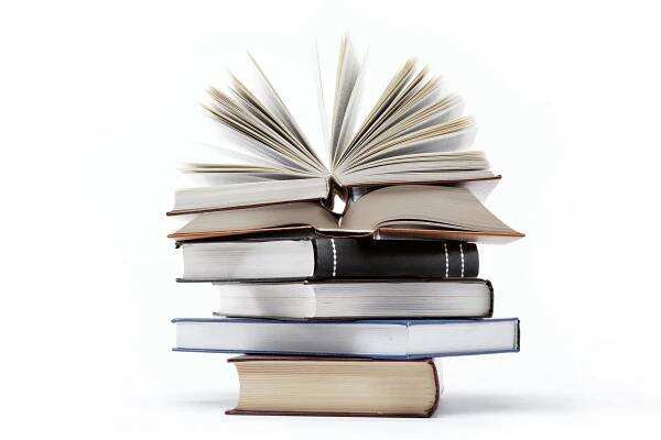 Essay writing service