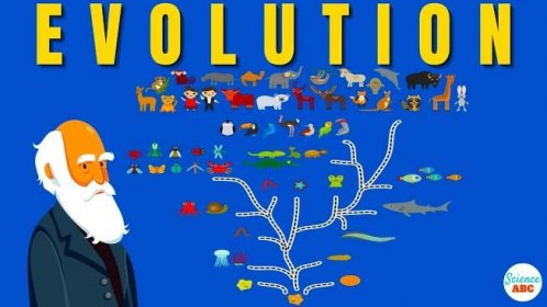 Darwin's theory of Evolution: A REALLY SIMPLE and Brief Explanation