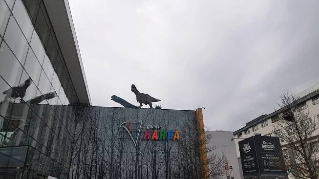 Galerie Harfa foto 4