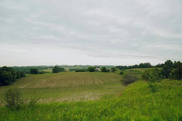 bezplatná Základová fotografie zdarma na téma bukolický, ekologický, ekosystém Základová fotografie