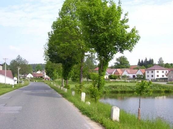 Arneštovice
