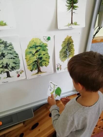 Jedeme kolem podzimních stromů | MŠ Mitušova 6