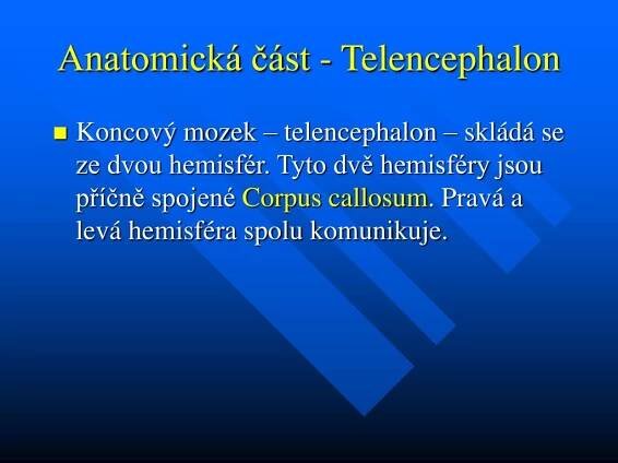 PPT - Čtvrtá přednáška z kineziologie PowerPoint Presentation, free download - ID:2981292