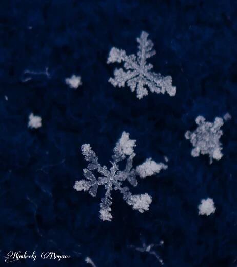 Wisconsin Snowflakes up close - Photos, Food, and Fun