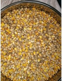 Partiklový mix suchý- kukuřice,pšenice,řepka - Krmivakonarovice
