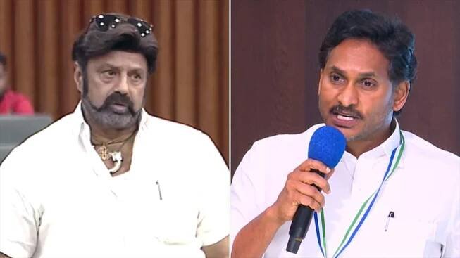 Video : Fresh Row In Andhra Pradesh As Chandrababu Naidu's MLA Calls Jagan Reddy 