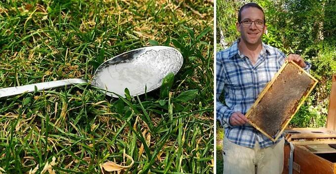 Včelař prosí o pomoc: umístěte směs cukru a vody na zahradě nebo na balkoně! Nechtěli mu moc věřit, ale nakonec je přesvědčil názor odborníků!