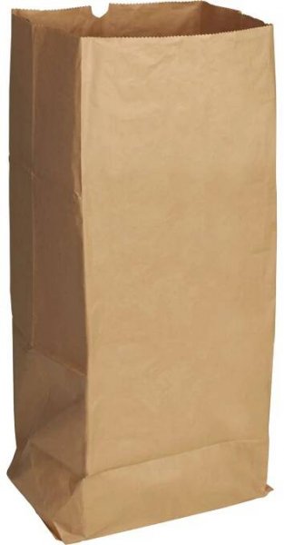 OBI Bio papírové pytle 120 l
