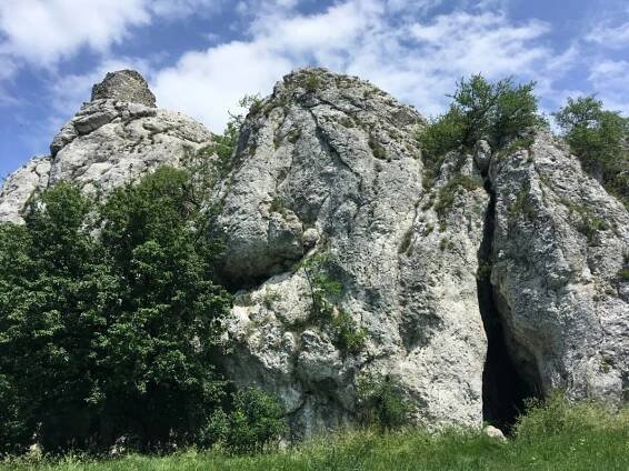 výlet CHKO Pálava (Popice-Mikulov) 8.6.2019 - Klub plavecké školy Krokodýl Brno