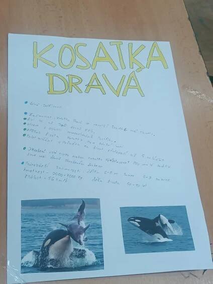 Přírodopis - Ploutvonožci a kytovci - Oficiální stránky ZŠ Koryčany