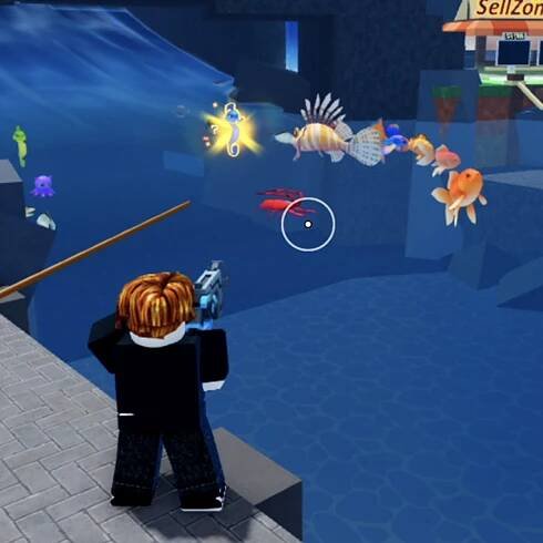 Fish Hunter codes for October 2025