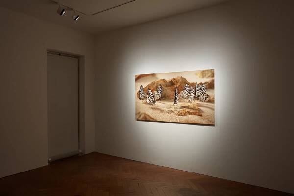 Jeffrey Stuker | 24 February - 6 April 2023 | Ben Hunter