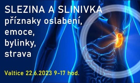 Kurz Valtice 22.6.2024 - "SLEZINA A SLINIVKA - příznaky oslabení, emoce, bylinky, strava + bylinková dílnička"