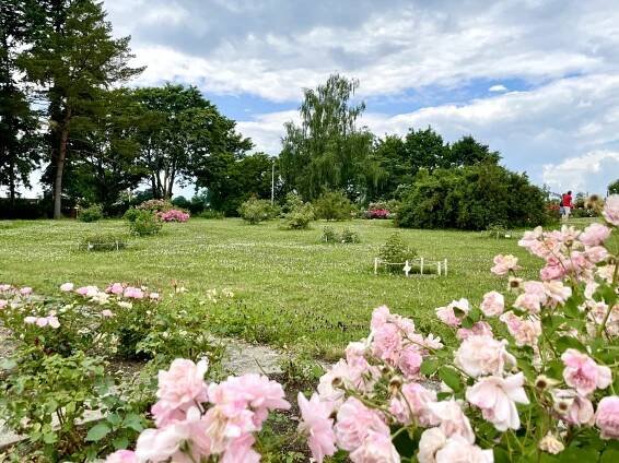 Botanická zahrada a Rozárium Olomouc - Dnes výletujeme
