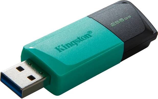 Kingston DataTraveler Exodia M 256 GB (DTXM256GB)