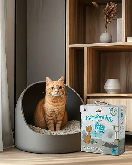Prémiové stelivo Quick & Clean - Kitty Care 