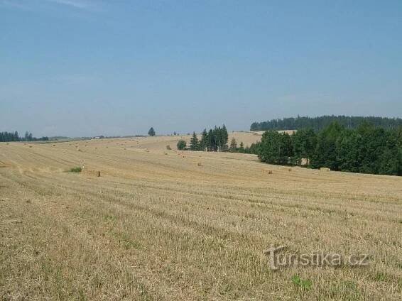 Jakubčovice - silnice