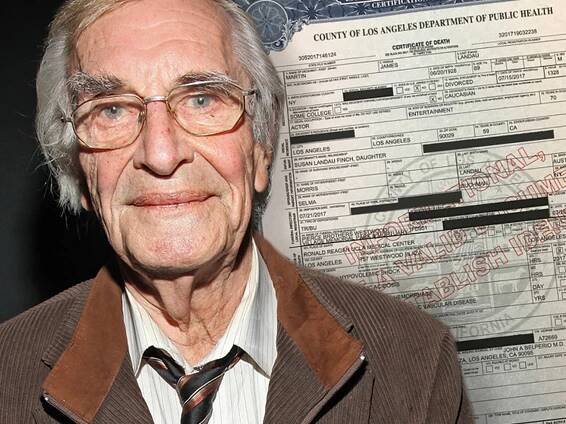 Martin Landau Died from Massive Internal Bleeding