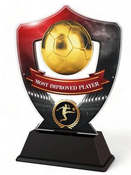 Club Colours Most Improved Player Shield Trophy