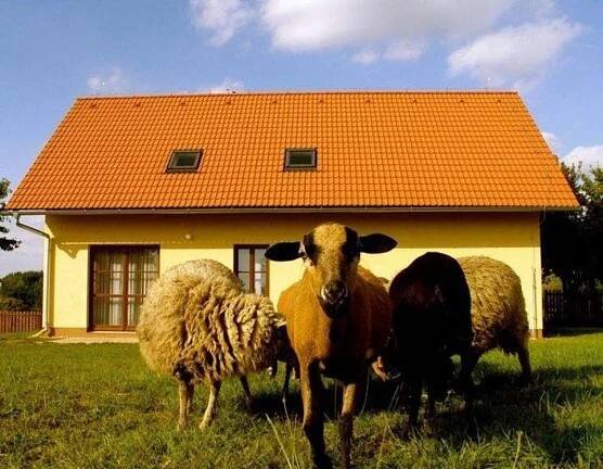 Apartmán Vidim