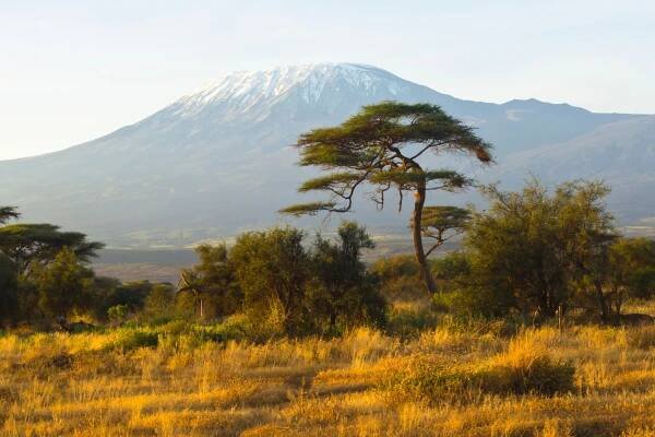 Kilimanjaro