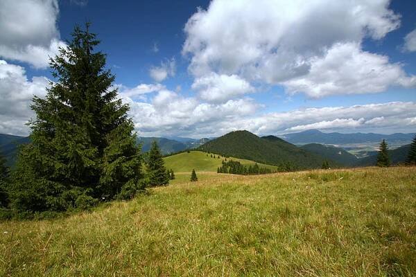 Brankovské lúky