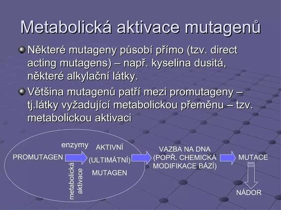 Metabolická aktivace mutagenů Některé mutageny působí přímo (tzv. direct acting mutagens) – např. kyselina dusitá, některé alkylační látky. Většina mutagenů patří mezi promutageny – tj.látky vyžadující metabolickou přeměnu – tzv. metabolickou aktivaci PROMUTAGEN AKTIVNÍ (ULTIMÁTNÍ) MUTAGEN VAZBA NA DNA (POPŘ. CHEMICKÁ MODIFIKACE BÁZÍ) MUTACE enzymy metabolická aktivace NÁDOR 
