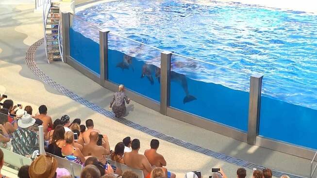 Swimming Pool and Aquarium Acrylic Window Panel References