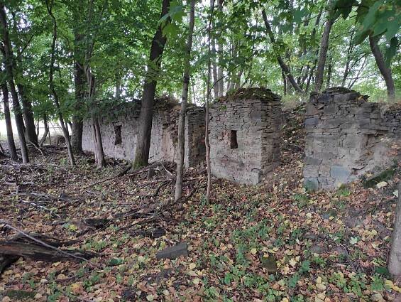 Soubor:Ruiny u Štoly František, Malý hub, vojenský újezd Libavá 5.jpg