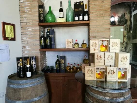 wine tasting experience - Shore excursions Amalfi Coast - Excursions from Naples port - Positano Sorrento top car transfer