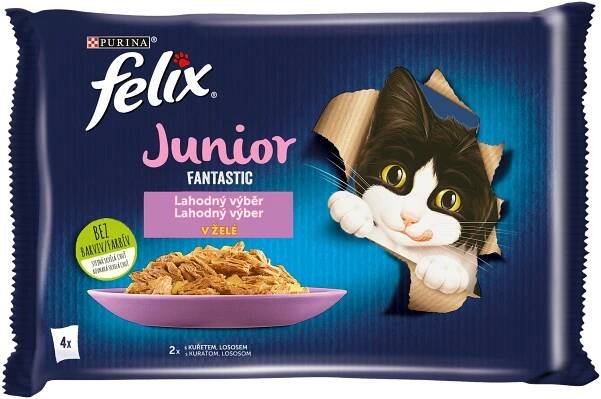 Kapsička pro kočky Fantastic Junior s kuřetem a lososem v želé multipack 4x 85 g