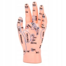 Levá ruka model akupunkturního bodu Masáž rukou za 174 Kč - Allegro